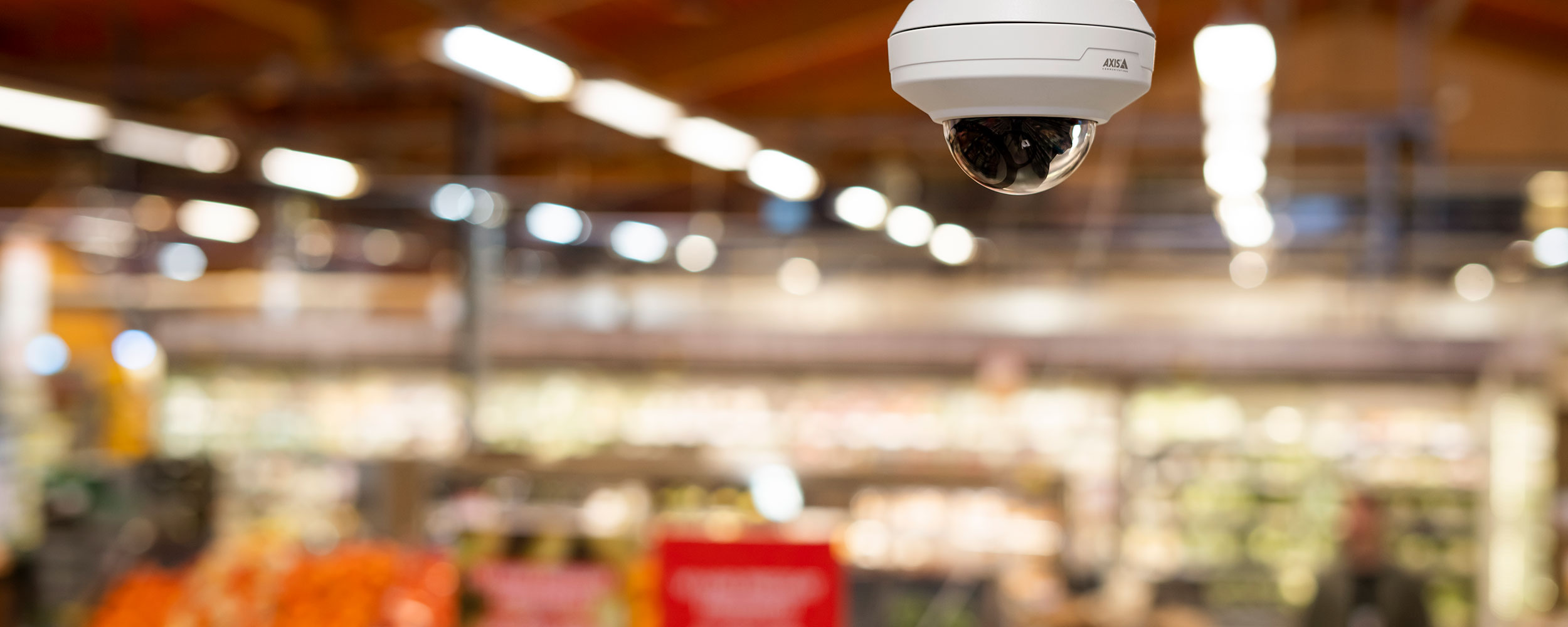Video Surveillance AI Software Retail Loss Prevention